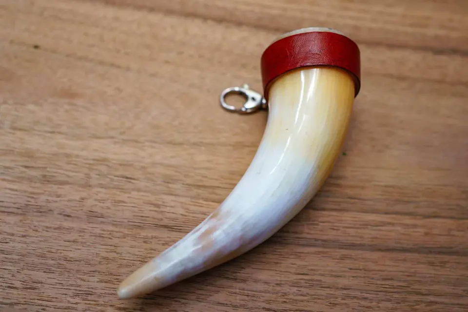 Drinking cow horn