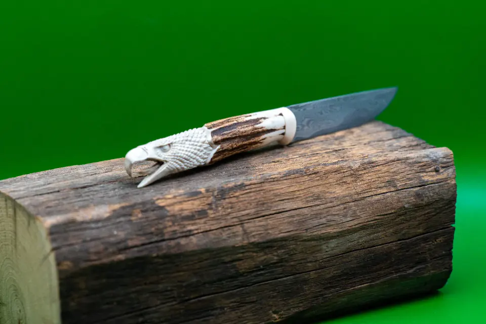 Eagle Crest — Damascus Carved horn