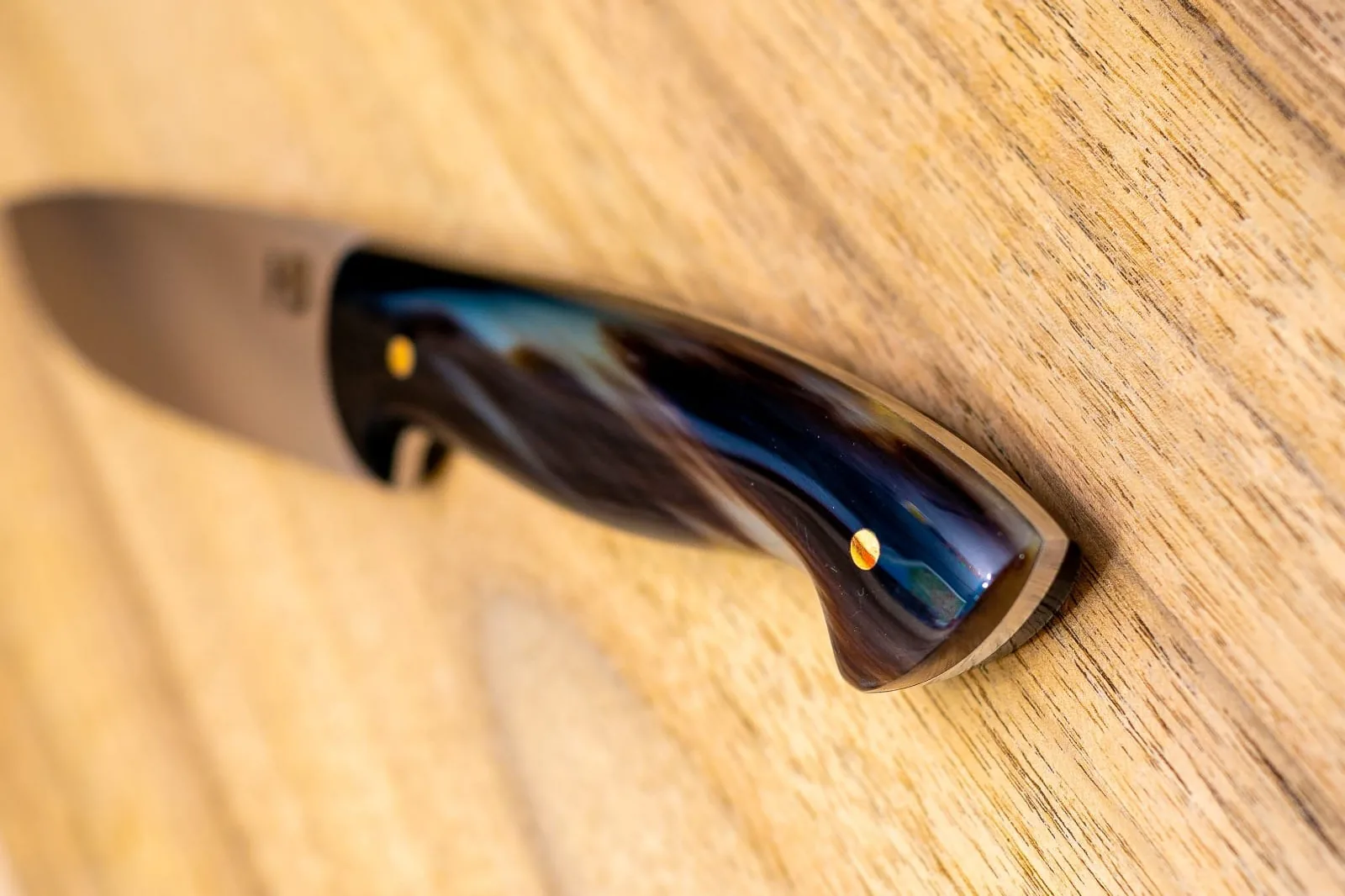 Hunting knife — M390 American buffalo horn