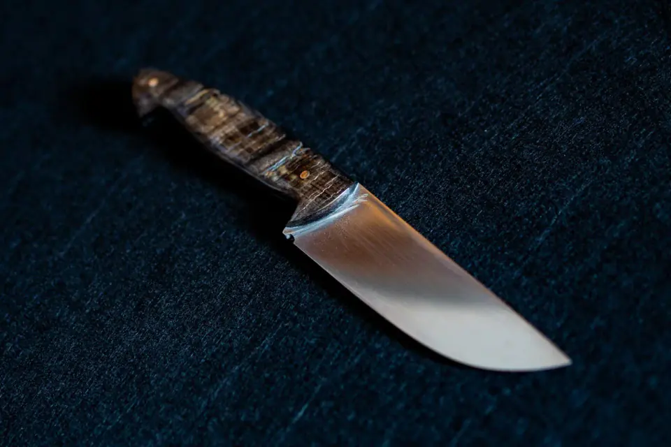 The Ibex Crown — M390 Ibex horn