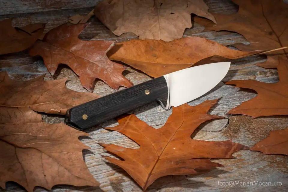 The Ebony Collar — N690 Ebony Wood