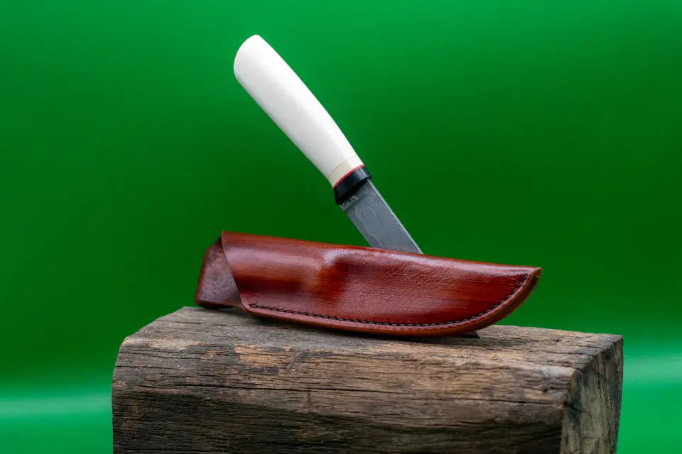 Ivory Bind — Damascus Polished horn