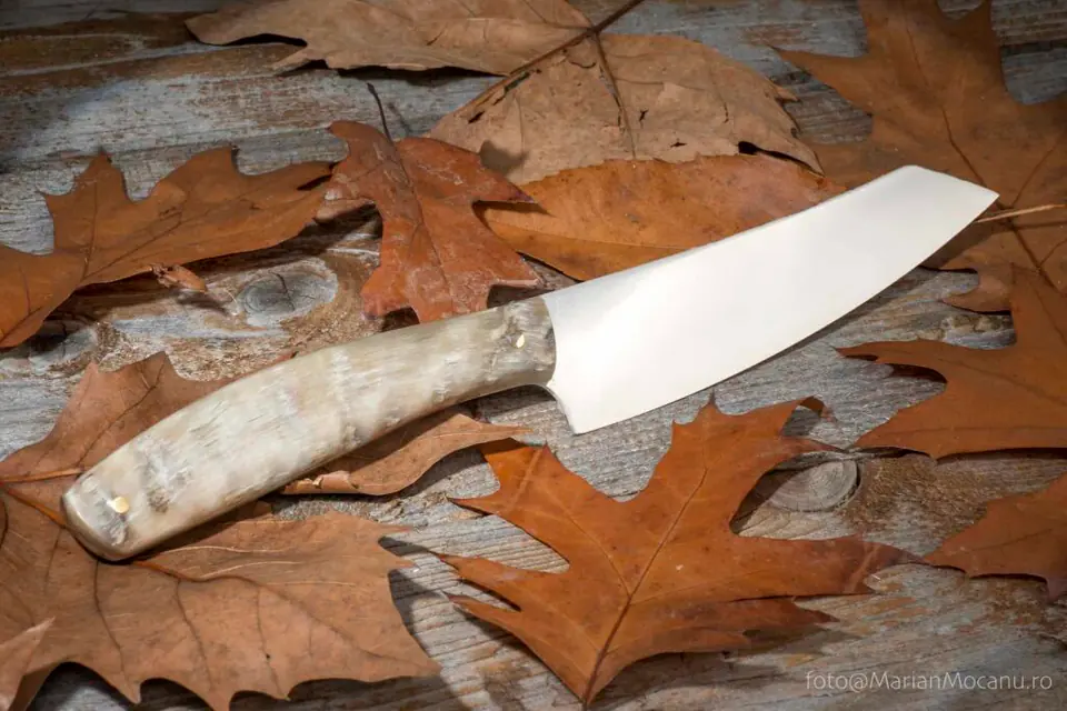 The Shepherd — N690 Sheep horn