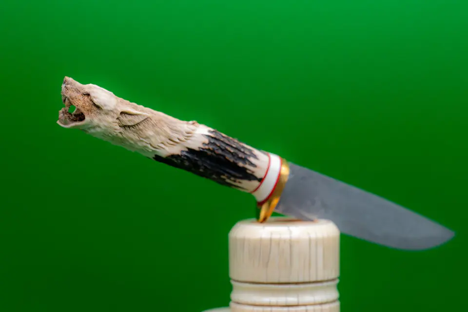 Wolf Fang — Damascus Carved horn