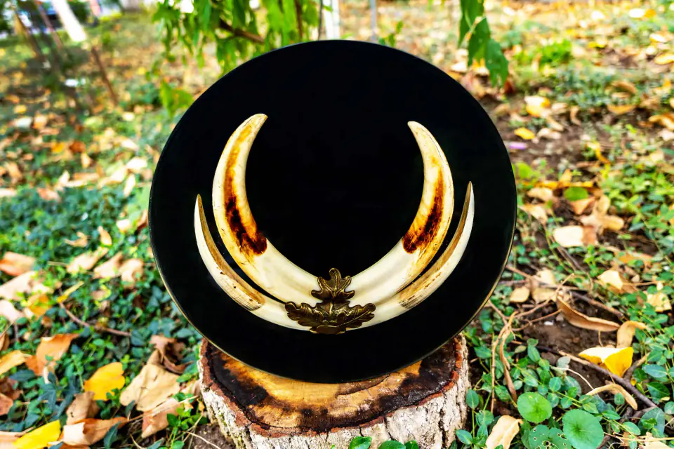 Wild Boar tusks embedded in resin — handmade piece
